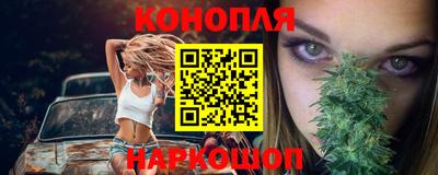 стаф Брянск