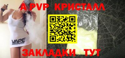 стаф Брянск