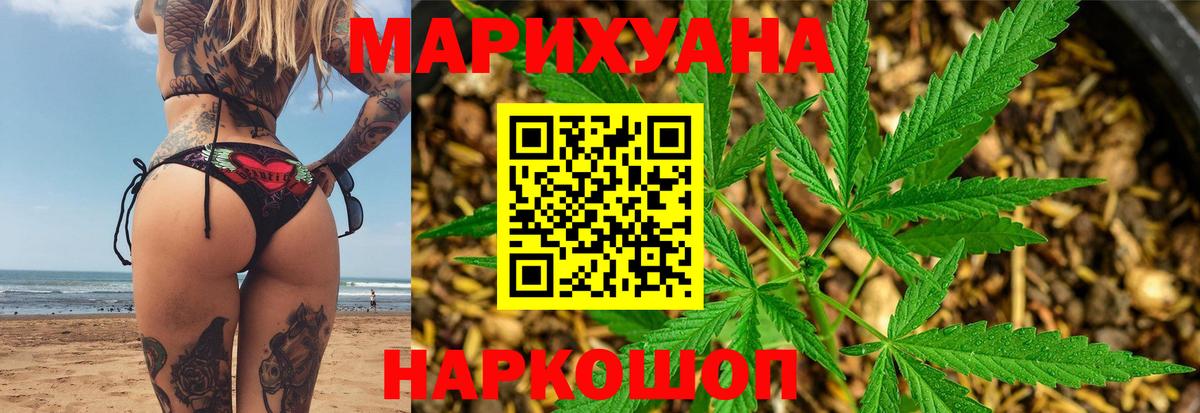 Бошки Шишки планчик Кизляр